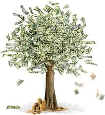 money tree