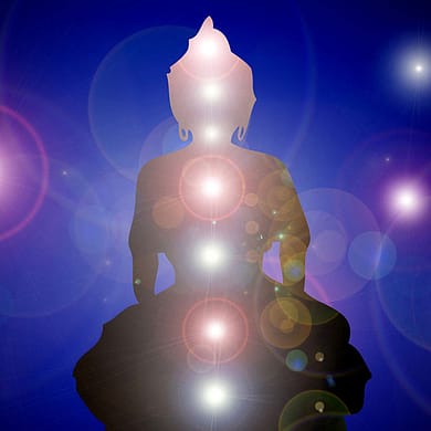 Chakra Health and Wholeness by Jarrad Hewett
